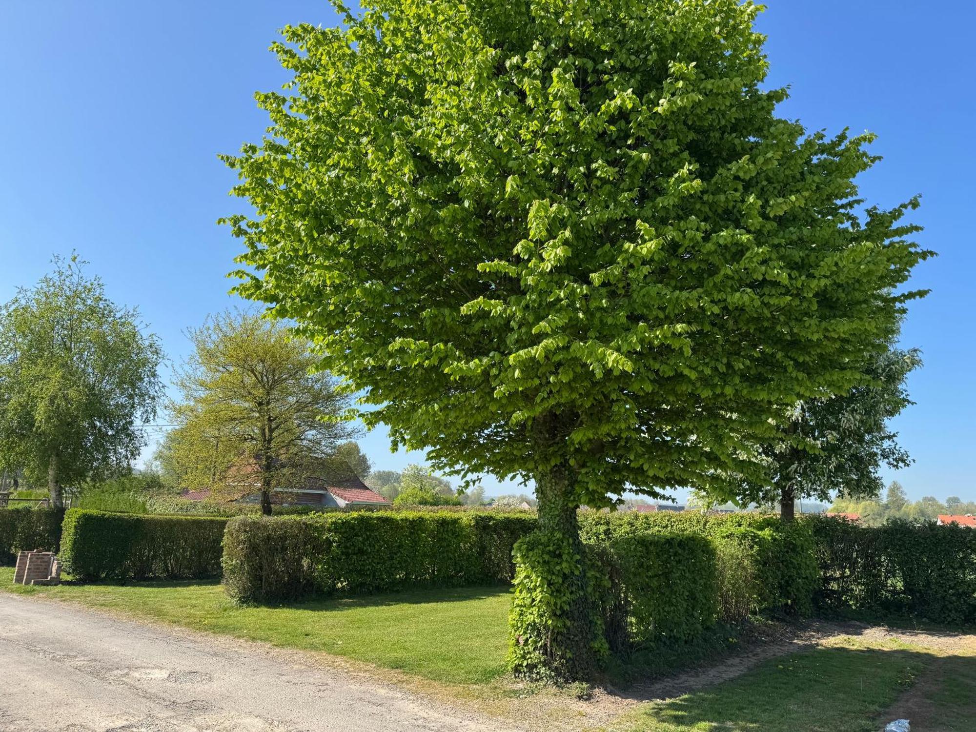 Camping Le Canchy Licques